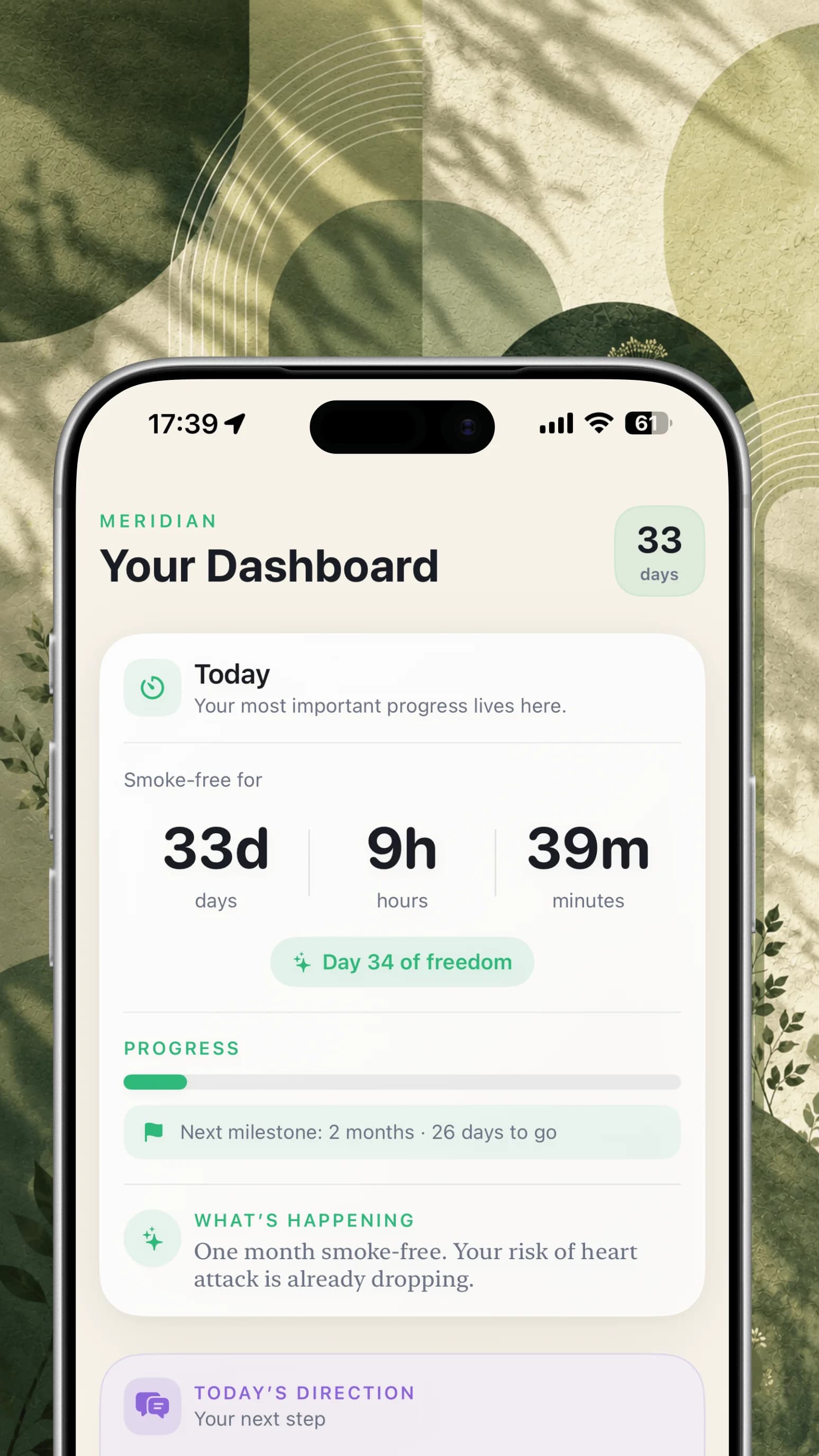Meridian dashboard screen inside an iPhone over a green textured background.